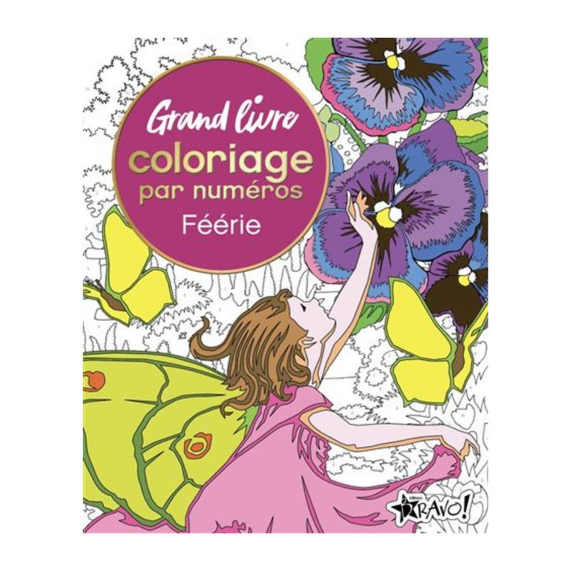 Grand livre coloriage par numéros : Féérie - David Woodroffe & Else Lennox