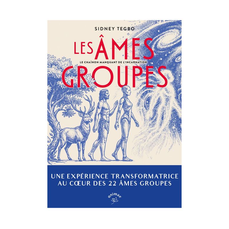 Les âmes Groupes Les âmes Groupes - Sidney Tegbo - Livre