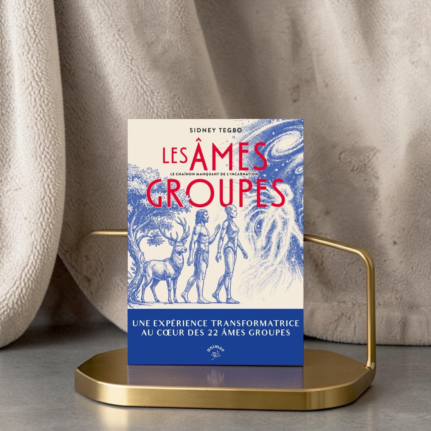 Les âmes Groupes Les âmes Groupes - Sidney Tegbo - Livre