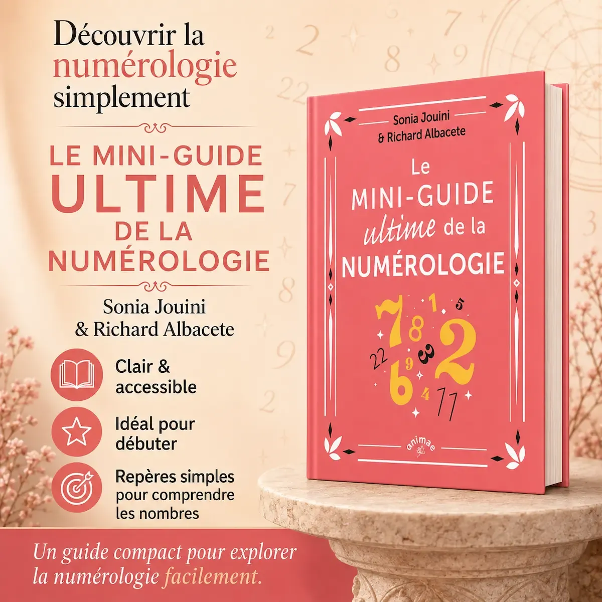 Le mini-guide ultime de la numérologie Le Mini-Guide ultime de la numérologie de Sonia Jouini et Richard Albacete