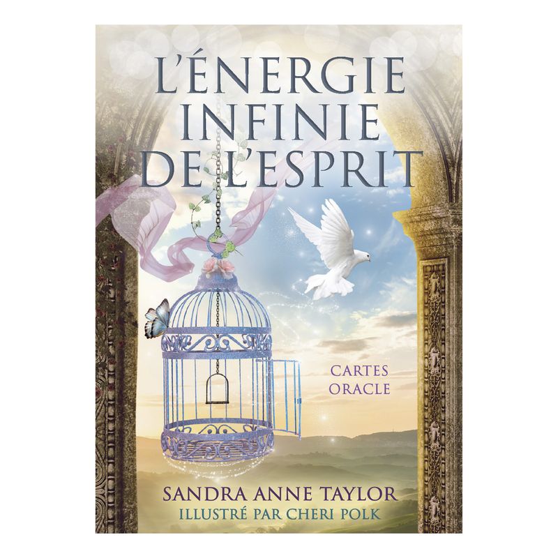 L'énergie infinie de l'esprit - Sandra Anne Taylor - Cartes Oracle