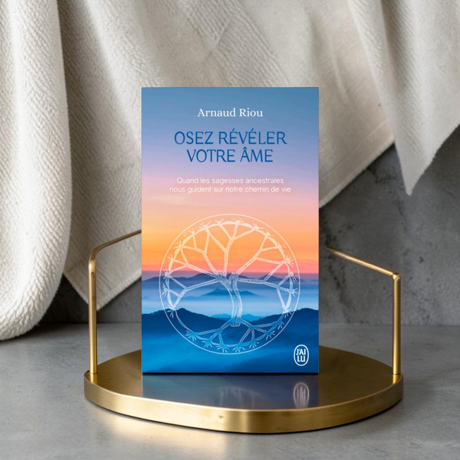 Osez révéler votre âme - Arnaud Riou - Livre