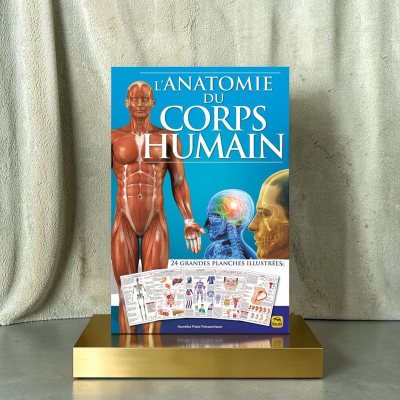 L'anatomie du corps humain