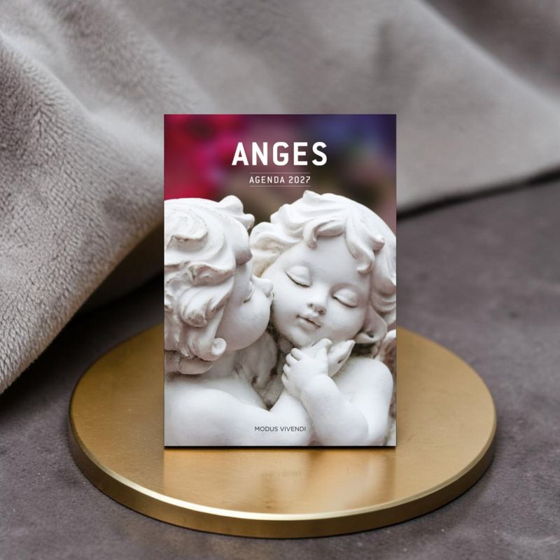 Anges - Agenda 2027 - Modus Vivendi