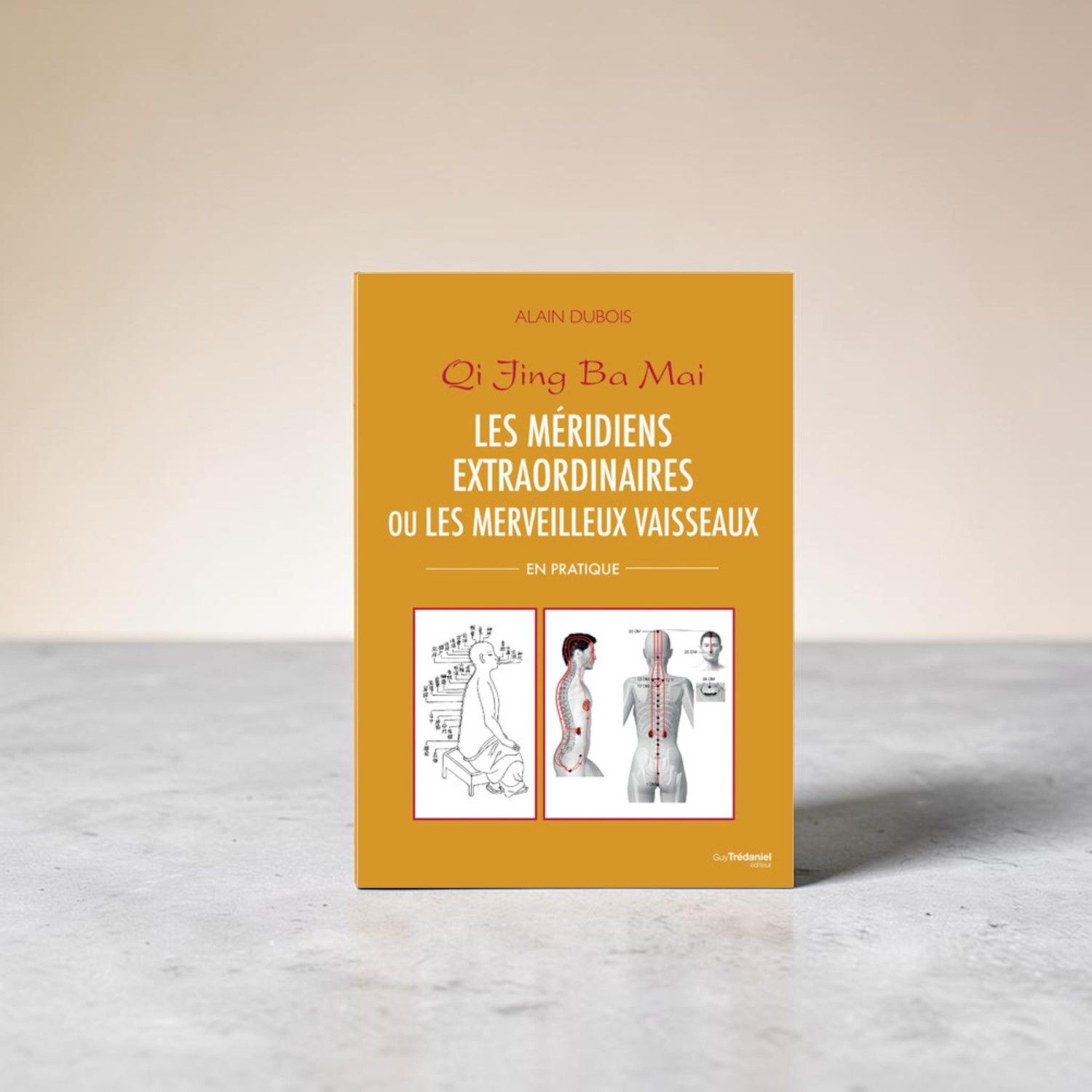 Les méridiens extraordinaires ou les merveilleux vaisseaux - Alain Dubois