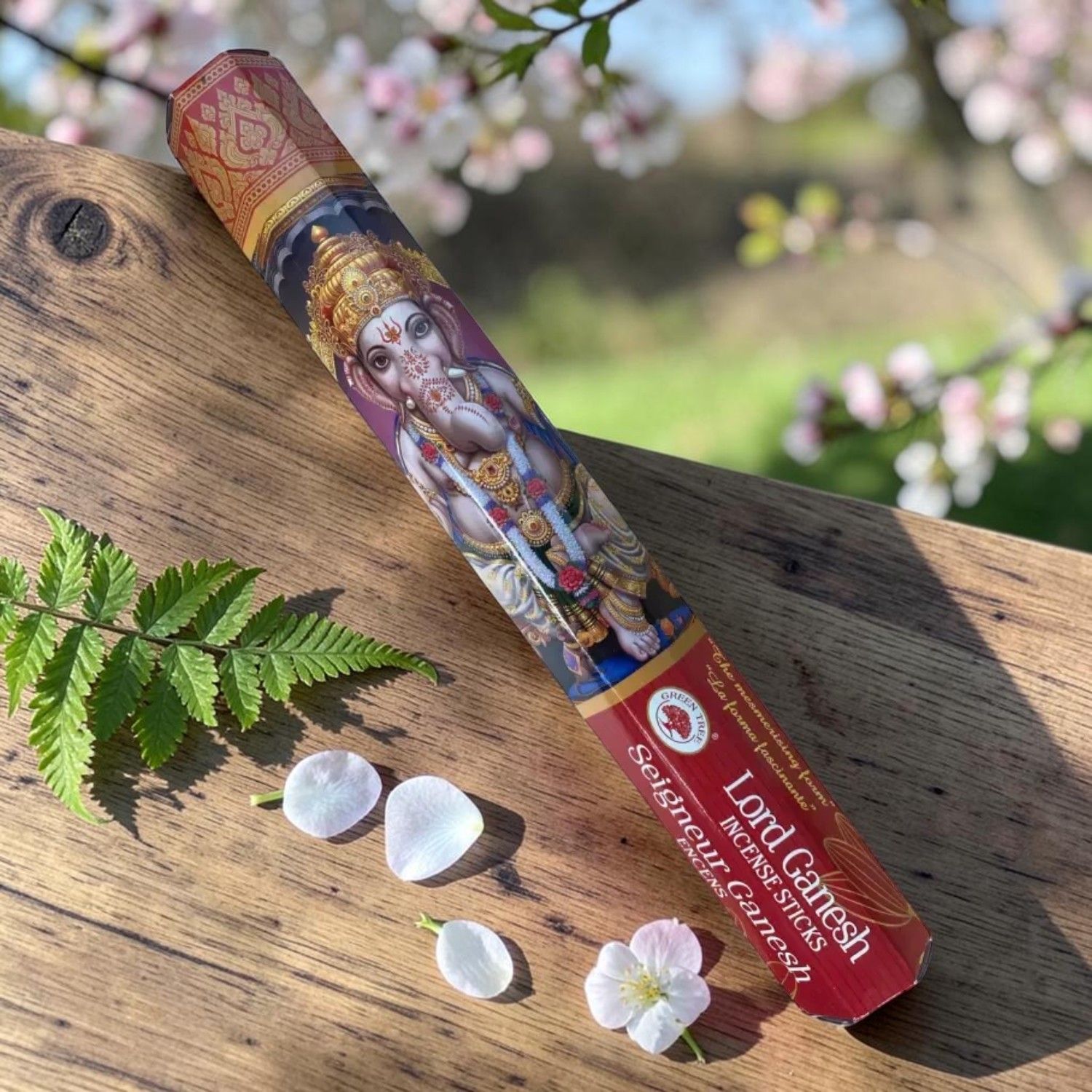 Encens Seigneur Ganesh Green Tree – 20g - Bâtonnets d'encens