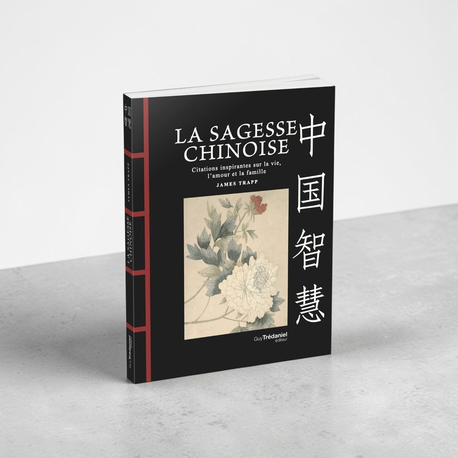Livre La sagesse chinoise - James Trapp