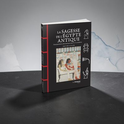 La sagesse de l'Égypte Antique Livre La sagesse de l'Égypte Antique - Trevor Naylor