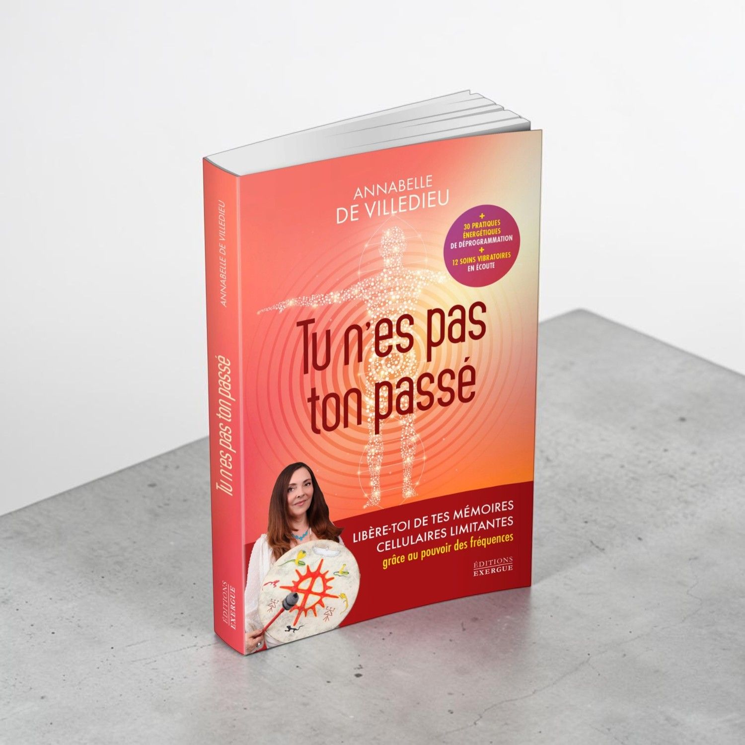 Livre Tu n'es pas ton passé - Annabelle De Villedieu