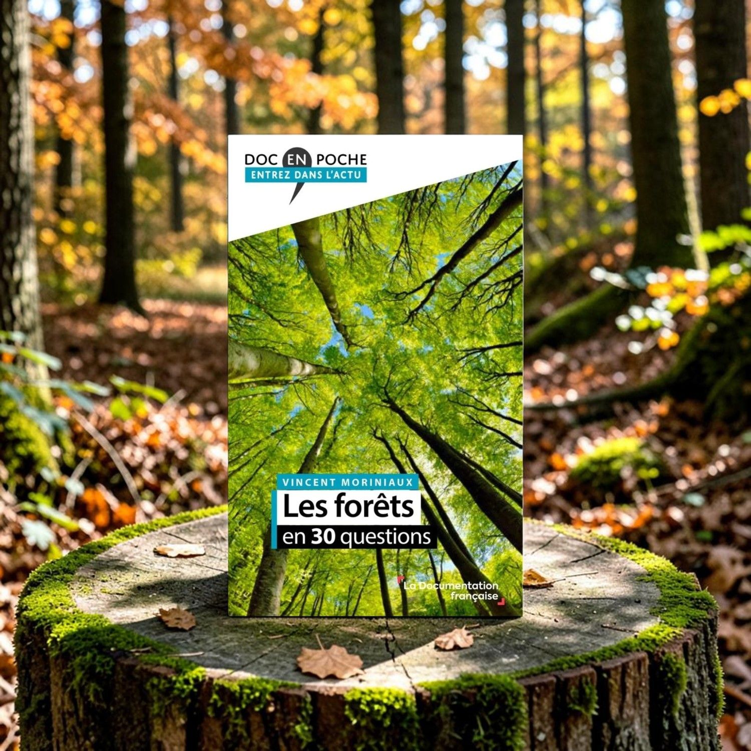 Livre - Les forêts en 30 questions - Vincent Moriniaux