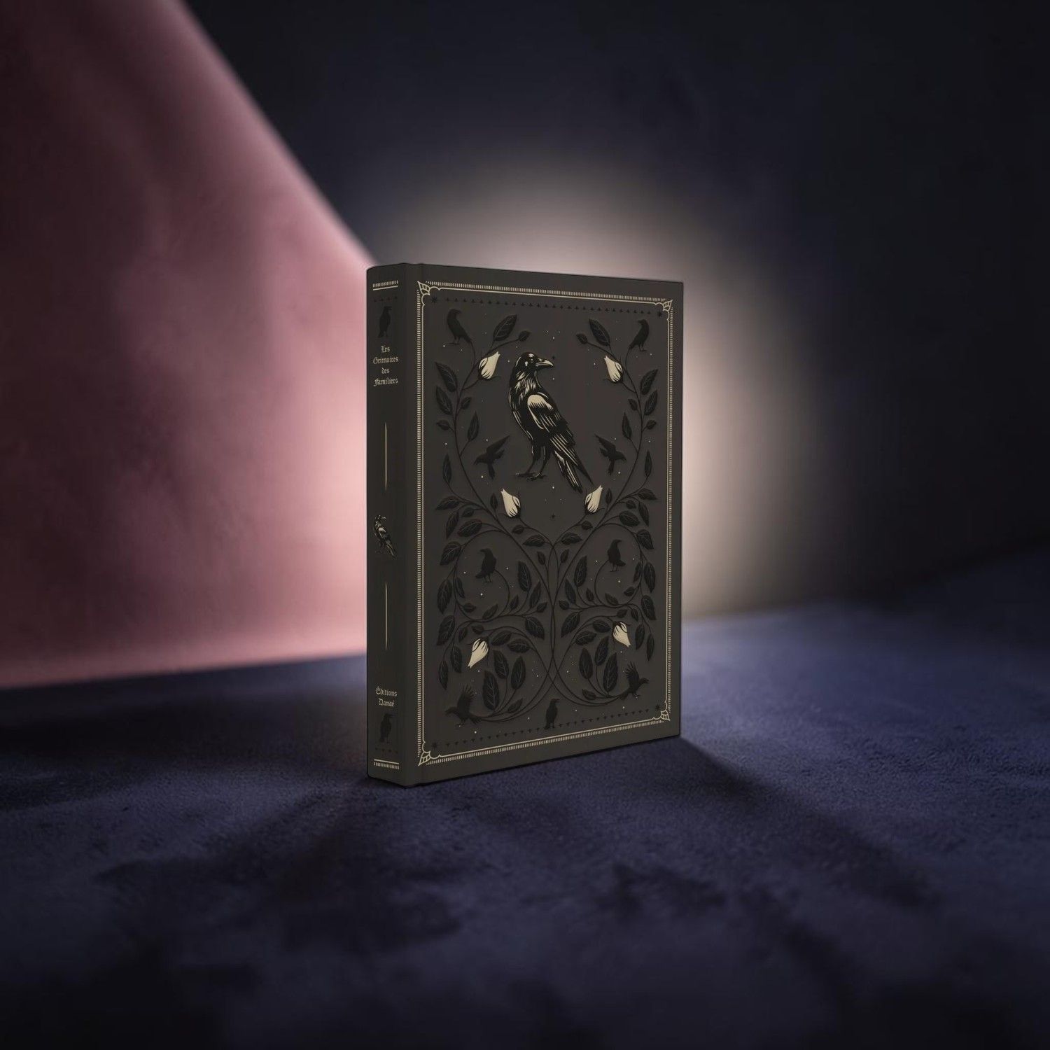 Grimoire Vierge Corbeau Grimoire Vierge Corbeau - Collectif - Danaé