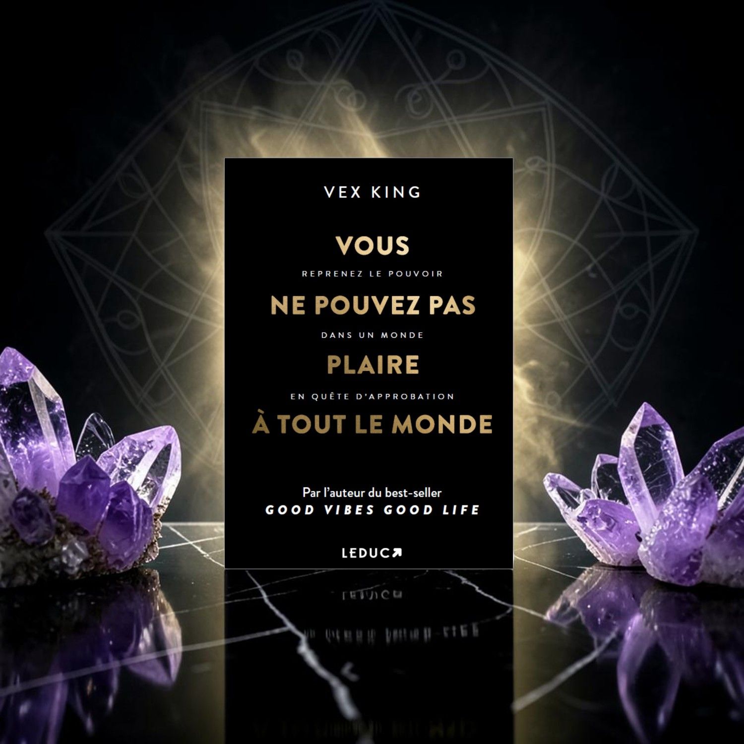 Livre - Vous ne pouvez pas plaire à tout le monde - Vex King - Leduc