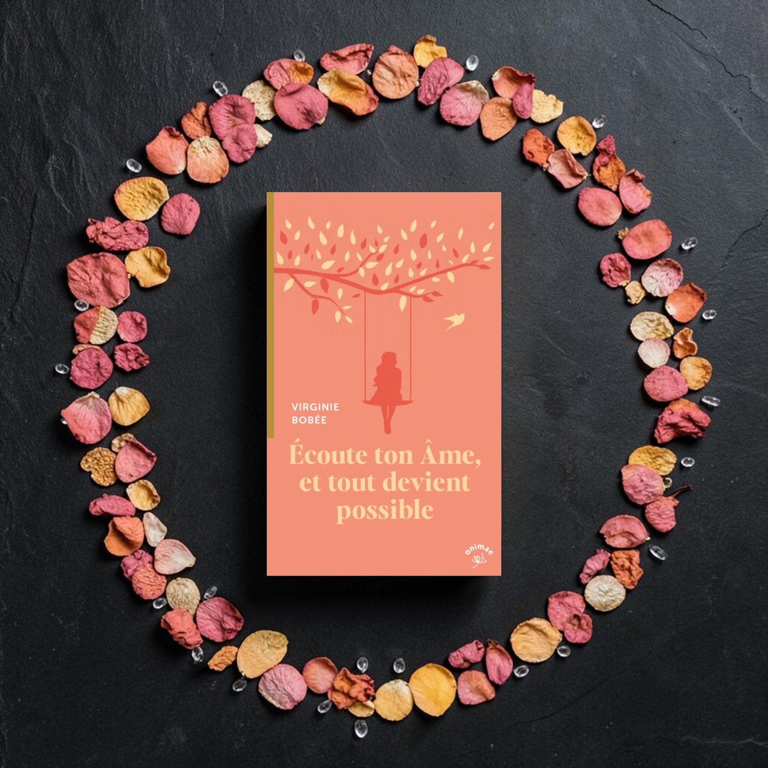 Livre - Écoute ton âme, et tout devient possible - Virginie Bobée - Animae