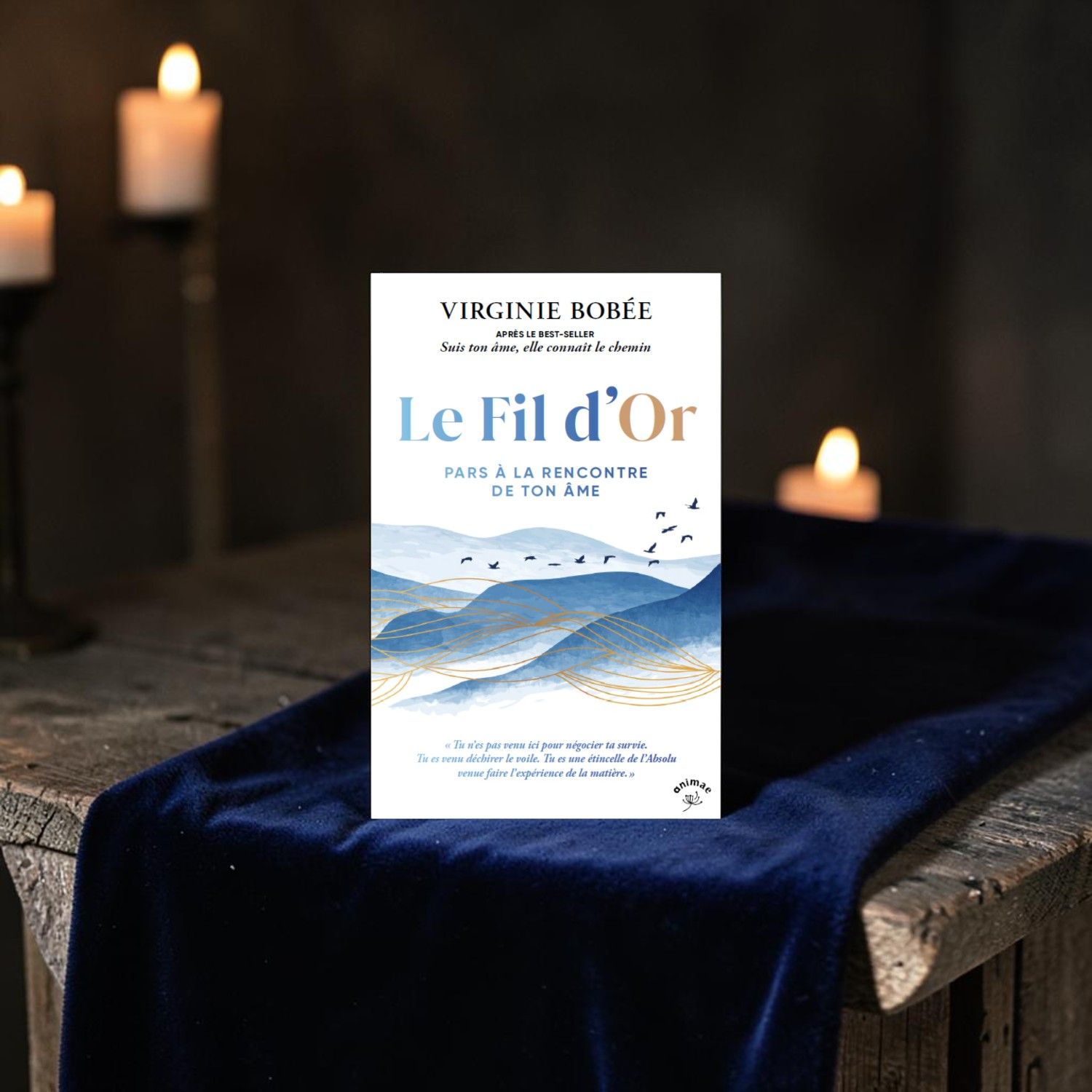 Livre - Le fil d'Or - Virginie Bobée - animae