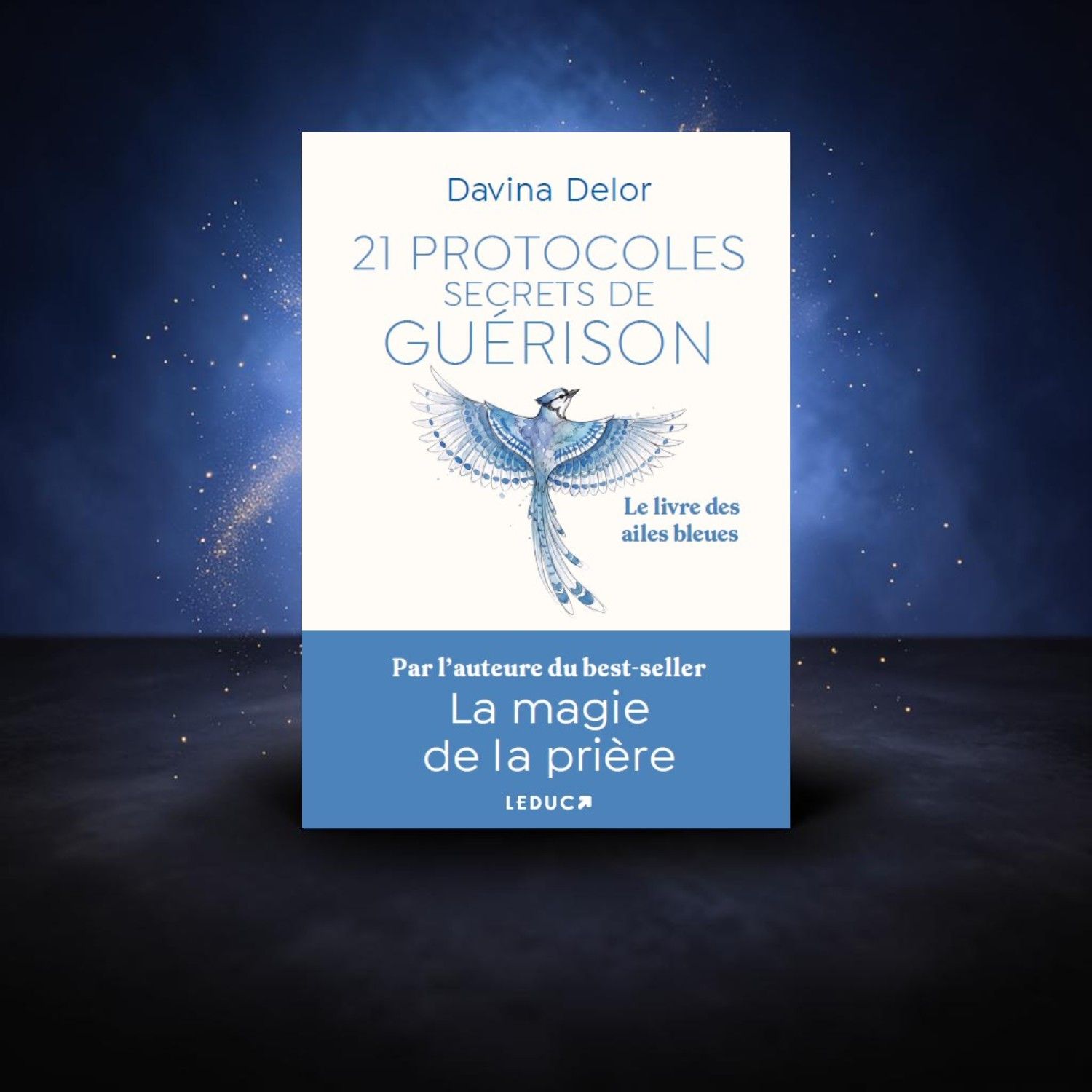 Livre - 21 protocoles secrets de guérison - Davina Delor - Leduc