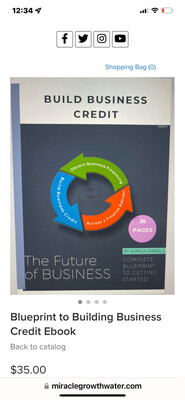 Build Business Credit Ebook
