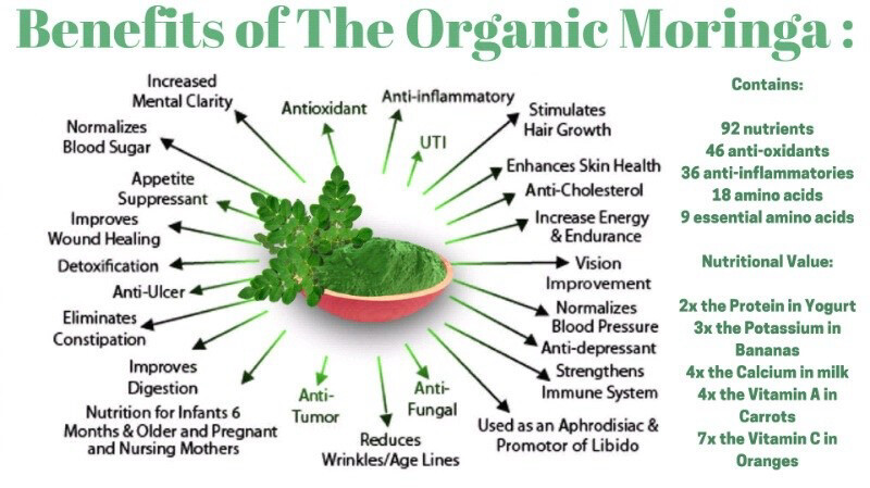 Organic Moringa  Powder