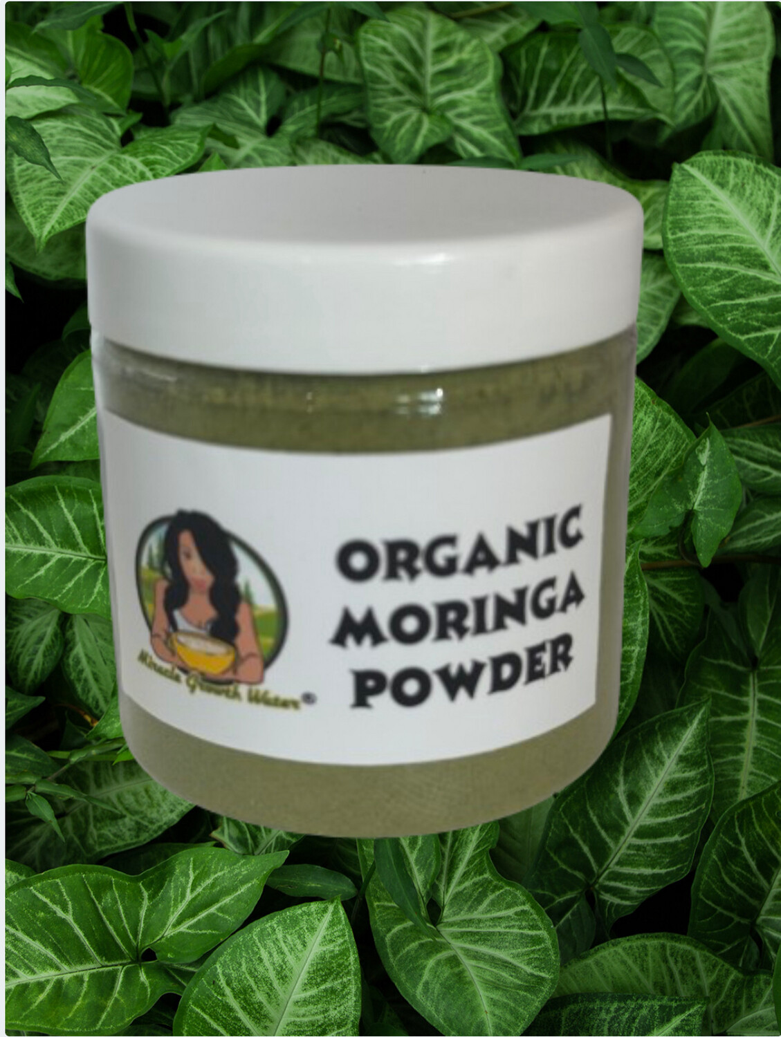 Organic Moringa  Powder