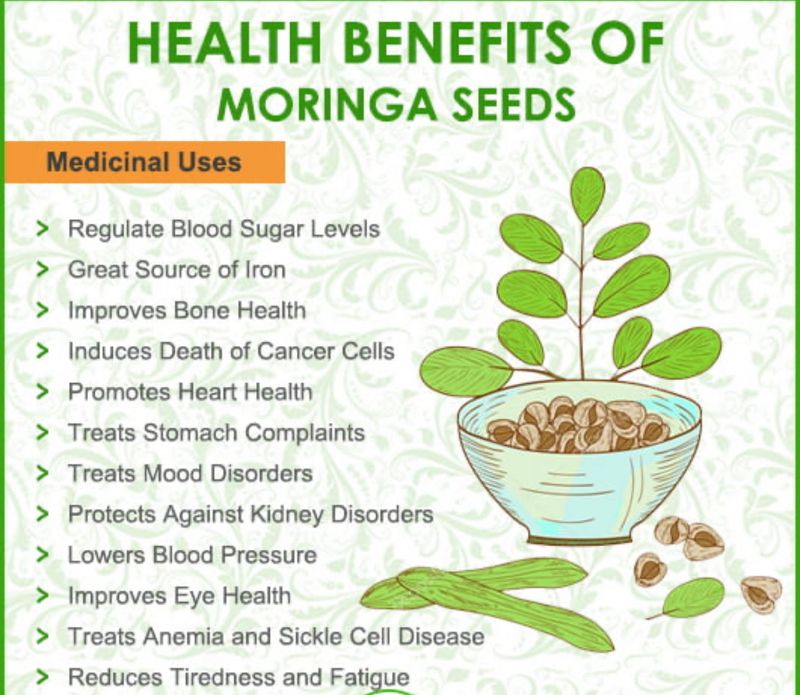 Moringa Seeds Add On