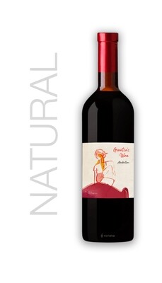 Gvantsa’s Wine Aladasturi 2022 Natural Georgia dry red