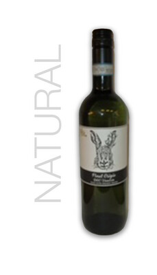 Wild Nature Pinot Grigio 2020 Veneto Natural