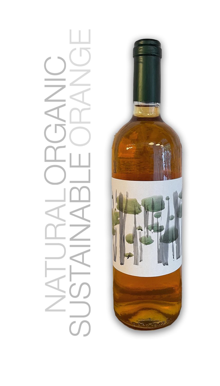 Doric Wines. dry white. Roditis Malagousia