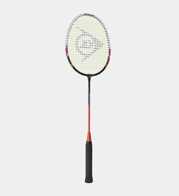 Dunlop  Badminton Blast SS 30 (2 Player Set)