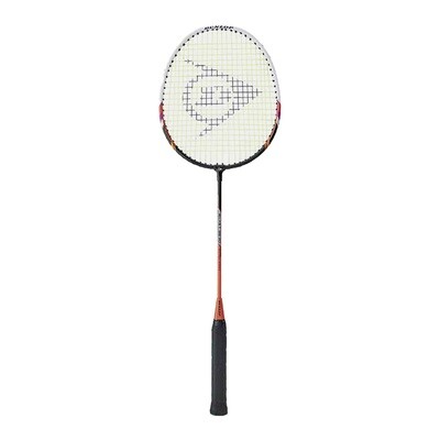 Dunlop  Badminton Blast SS 30 (2 Player Set)