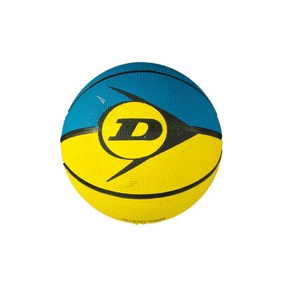 Dunlop Basketball Revolution (Mini)