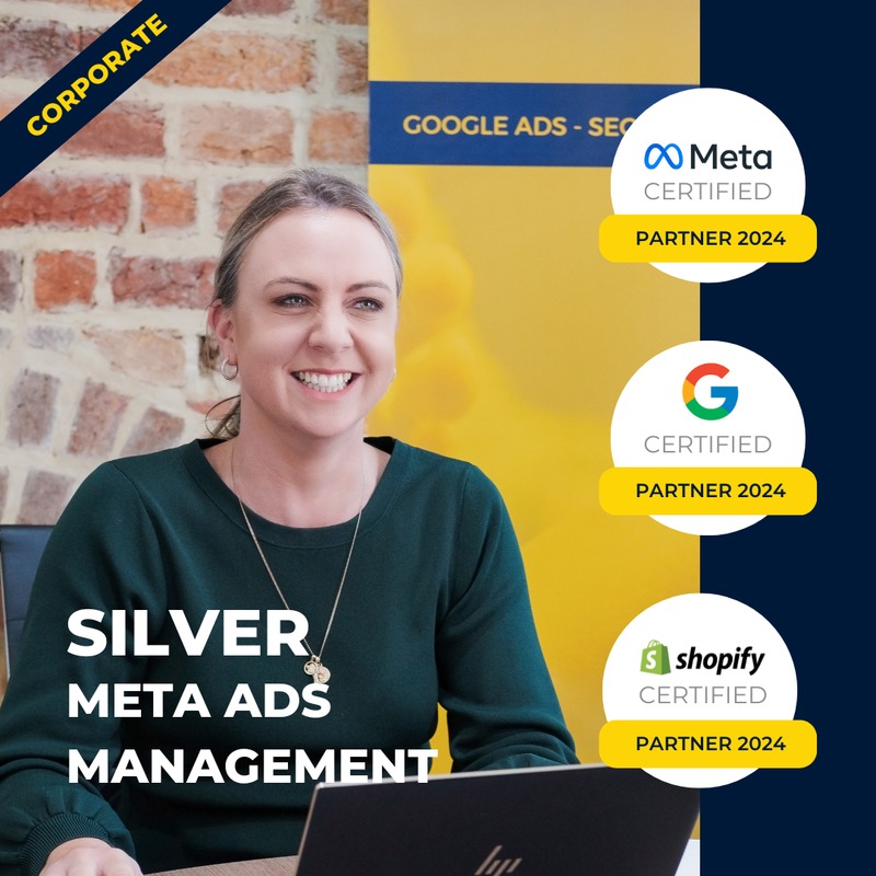 Corporate Silver Meta Ads Management