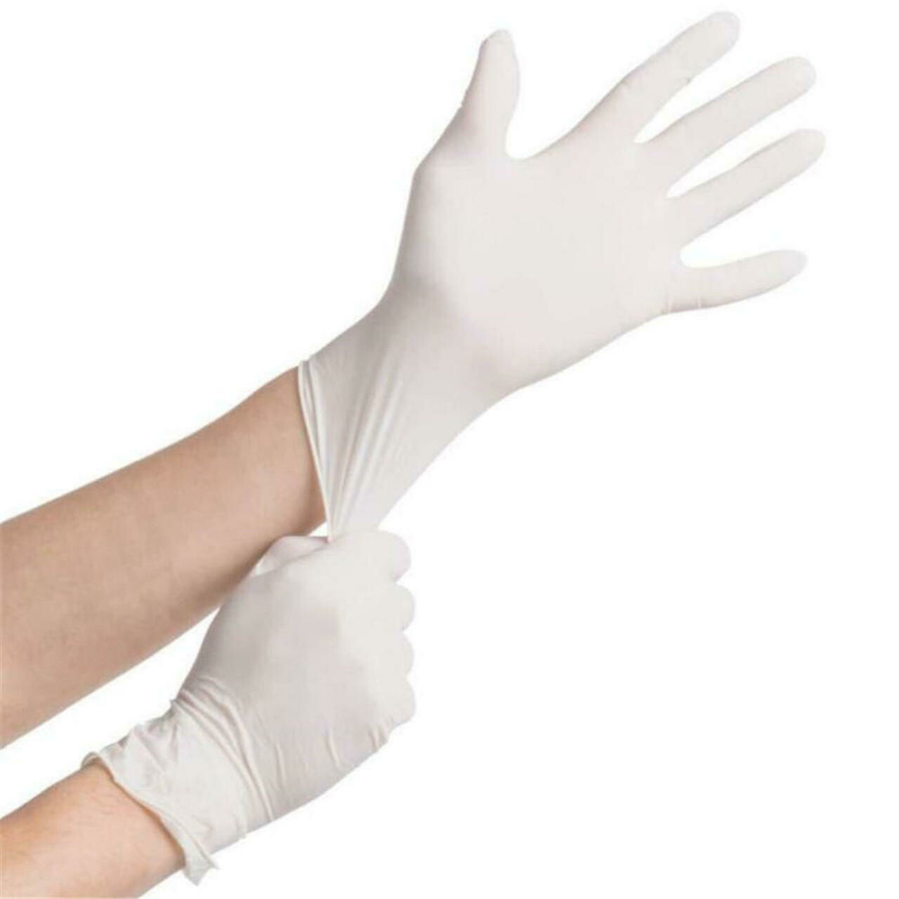 Latex Powder Free Gloves  100/Box