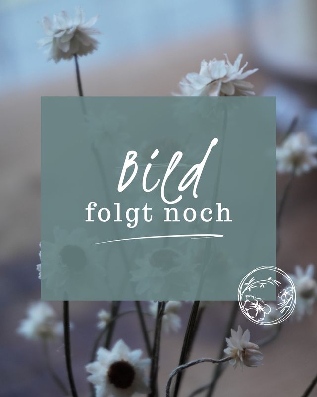 Weihnachtlicher Dekoständer  14. November 2025