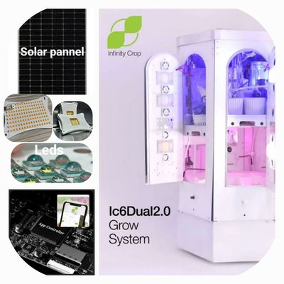 Ic6 Dual