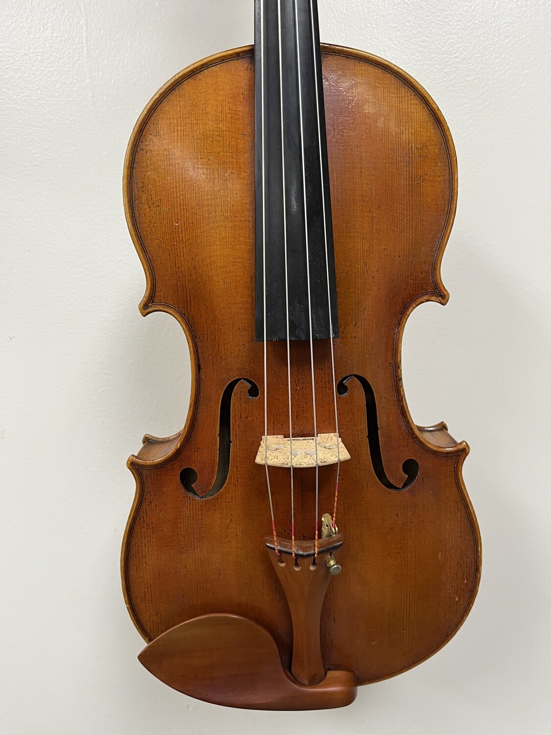 Viola 16