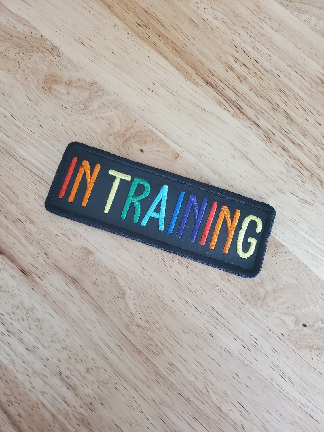 PRIDE In Training Velcro Patch