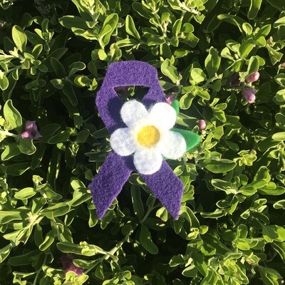 Additional Donation to Help Find a Cure