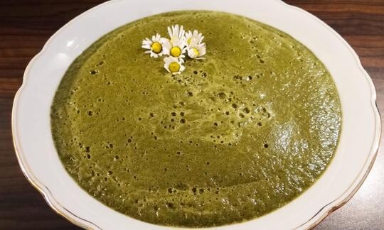 Batido crudivegano de hierbas silvestres