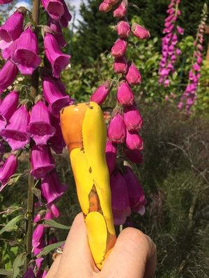 Ancient Creations Chunky Chillum