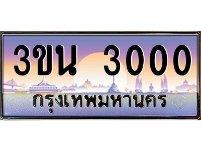 2.ทะเบียนรถ 3000 เลขประมูล ทะเบียนสวย 3ขน 3000 จากกรมขนส่ง