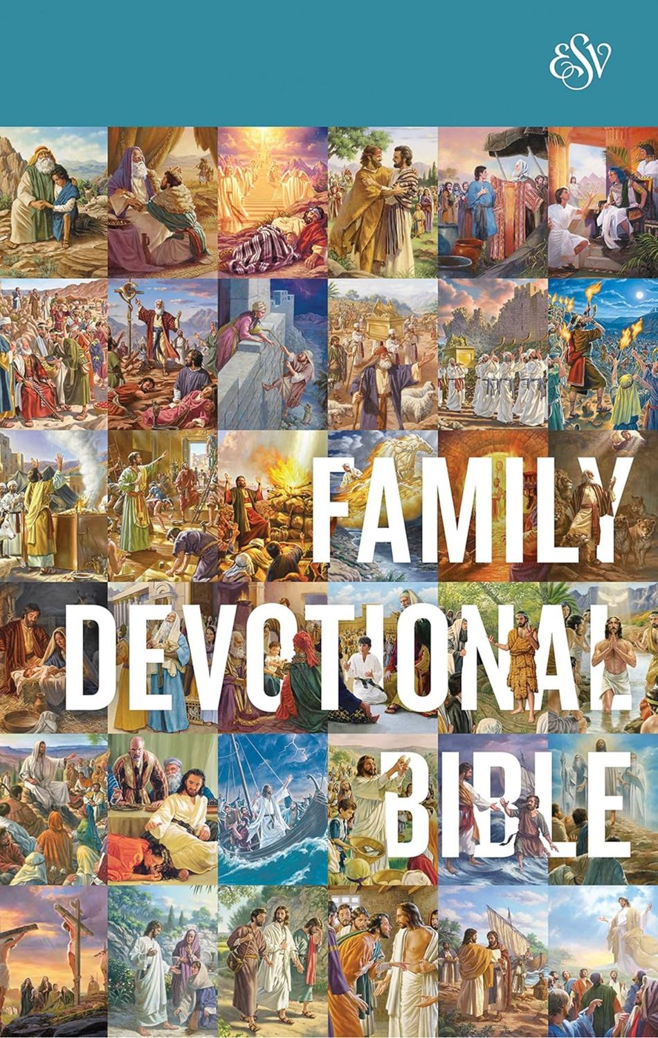 Family Devotional Bible