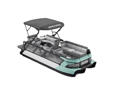 Switch Cruise 21 - 230 hp