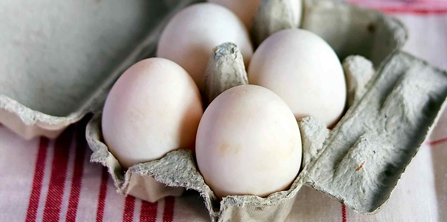 Duck Egg - 6 Nos