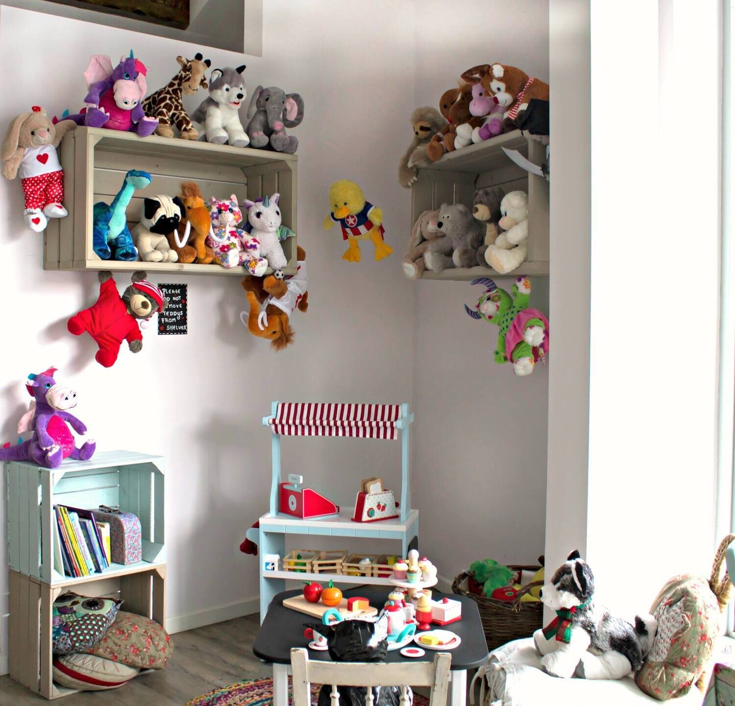 Teddy Option 1