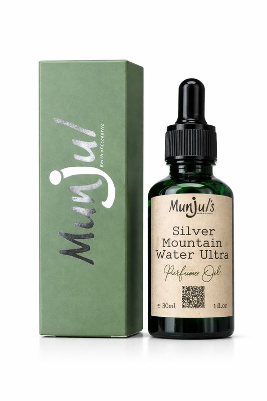 SILVER MOUNTAIN WATER