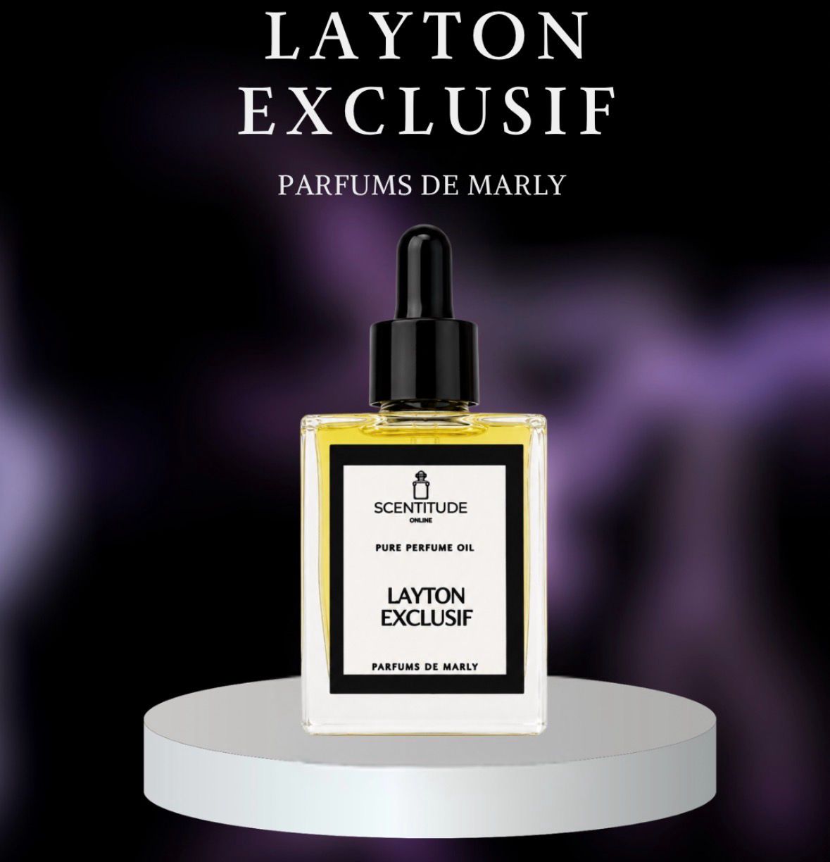 LAYTON EXCLUSIF