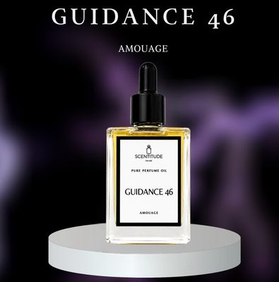 GUIDANCE 46