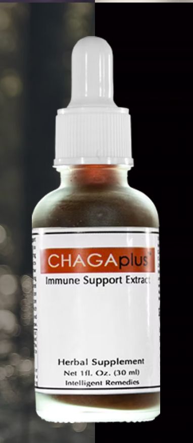 CHAGAplus Immune Support Extract