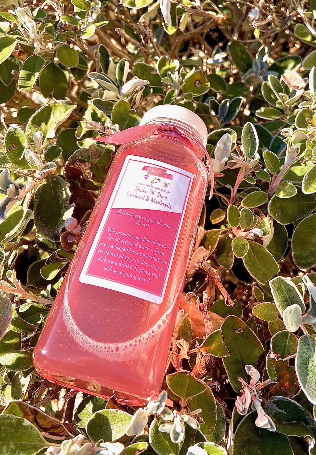 Shake N Sip&#39;s Watermelon Breeze - Box of 5