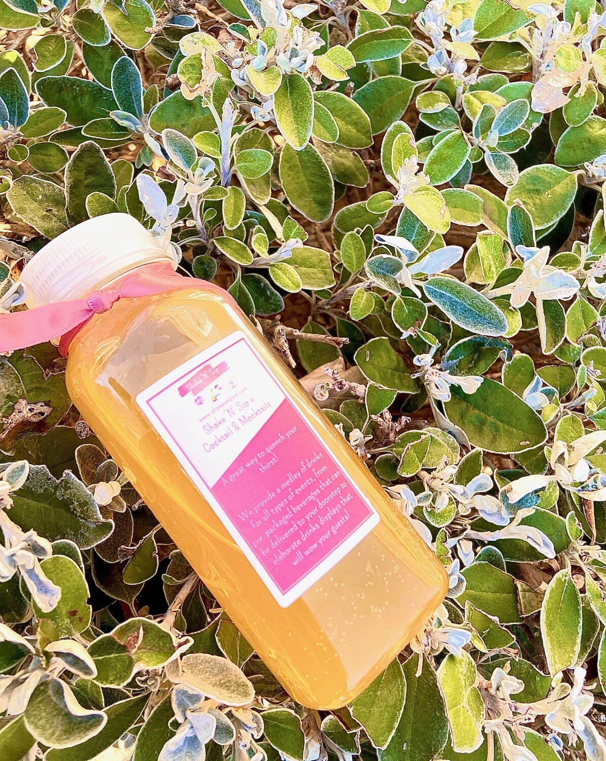 Shake N Sip&#39;s Minty Spiced Mango - Box of 5