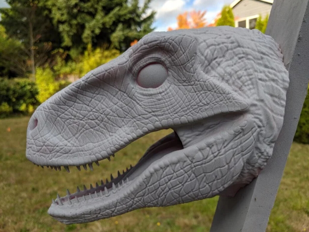 Cabeza Velociraptor Pared Cabeza Velociraptor Pared